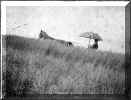 horse_unknown.jpg (46693 bytes)